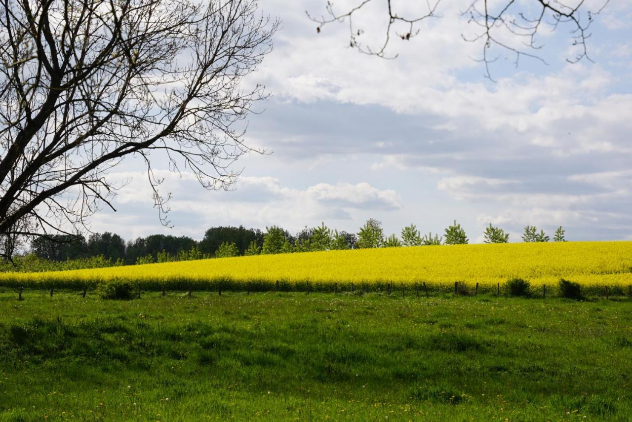 La Grange De Felicie Panzió Charrey-sur-Saone Kültér fotó